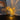 Crystal LED Night Light - Elegant Atmosphere Lamp - DecorOfficial
