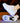 Inline Roller Skates - 2-Wheel Skate Shoes - DecorOfficial