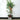 Bamboo Home Pipe - Eco-Friendly Natural Decor - DecorOfficial