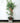 Bamboo Home Pipe - Eco-Friendly Natural Decor - DecorOfficial