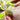 Kiwi Cutter - Fruit Slicer for Easy Kiwi Preparation - DecorOfficial