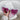 Retro Cat Eye Sunglasses - Pearl Heart Design Fashion Eyewear - DecorOfficial
