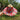 Lightweight Bamboo Summer Cap - Cute Folding Sun Hat - DecorOfficial