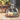 Glass Storage Containers with Wooden Lids - Kitchen Organizer Set - DecorOfficial