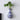 Lotus Wall Vase - Decorative Ceramic Planter for Home Decor - DecorOfficial