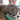 Electric Cat Massager - Relaxing Feline Massage Device - DecorOfficial