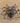Mechanical Spider Clock - Stainless Steel Timepiece - DecorOfficial
