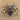 Mechanical Spider Clock - Stainless Steel Timepiece - DecorOfficial