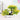 Artificial Green Plant - Stylish Home Decor Accent - DecorOfficial