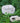 Hidden Garden Security Stone - Discreet Outdoor Safety Decor - DecorOfficial
