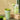 Double Layer Ice Maker Cup - DIY Smoothie Maker - DecorOfficial