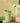 Double Layer Ice Maker Cup - DIY Smoothie Maker - DecorOfficial