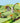 Dinosaur Traffic Jam Race Track Toy - Gravity-Powered Car Set - DecorOfficial