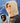 Windproof Insulated Winter Hooded Face Cover - Warm Protection - DecorOfficial
