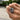 Majestic Dragon Wing Open Ring - Fantasy Jewelry - DecorOfficial