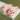 Cute Doggy Non-Slip Comfy Slippers - DecorOfficial