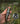 7-in-1 Survival Tool - Portable Camping Multi-Use Equipment - DecorOfficial