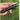 Extendable Self-Defense Stick - Personal Protection Tool - DecorOfficial