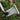 Multifunctional Garden Shovel - Carbon Steel Tool - DecorOfficial