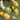 Cute Doggy Non-Slip Comfy Slippers - DecorOfficial