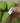 Mini Vegetable Peeler Keychain - Stainless Steel Kitchen Tool - DecorOfficial