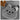 Massage Rabbit Bath Mat - Soft Relaxing Floor Mat - DecorOfficial