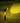 Solar LED Pathway Spotlights - Outdoor Garden Lighting - DecorOfficial
