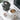 Ventosa Kitchen Jars - Airtight Food Storage Containers - DecorOfficial