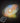 Firework Night Light Projector - Starry Sky Lamp with Colorful Effects - DecorOfficial