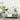 Lotus Blossom Wall Sticker - Modern Self-Adhesive Home Decor - DecorOfficial