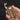 Vintage Brass Kerosene Lighter - Eco-Friendly Design - DecorOfficial