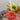 Magic Mount Punch-Free Spatula Holder - DecorOfficial
