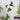 Chirp™ Bird Wall Decor - DecorOfficial