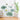 Lotus Blossom Wall Sticker - Modern Self-Adhesive Home Decor - DecorOfficial