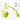 Foldable Mini Picnic Knife - Fruit Bird Design - DecorOfficial