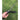 Extendable Self-Defense Stick - Personal Protection Tool - DecorOfficial