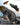 Quick Dry Non-Slip Beach Shoes - Adventure Ready Footwear - DecorOfficial