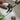 Dog Toothpaste Dispenser - Creative Design for Easy Pet Dental Care - DecorOfficial