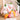 Snuggly Bunny Plush Toy - Creative Hide and Seek Design - DecorOfficial