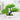 Artificial Green Plant - Stylish Home Decor Accent - DecorOfficial