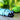 Remote Control Caterpillar Robot Toy - Simulation Fun for Kids - DecorOfficial