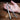 Discreet Mini Pocket Knife - Self Defense Tool - DecorOfficial
