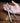 Discreet Mini Pocket Knife - Self Defense Tool - DecorOfficial