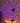 Ambient LED Light - Atmosphere Enhancing Web Wizard Lamp - DecorOfficial