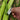 Mini Vegetable Peeler Keychain - Stainless Steel Kitchen Tool - DecorOfficial