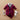 Newborn Baby Jumpsuit - Cute Gentleman Outfit - DecorOfficial