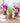 DIY Plantable Doll - Eco-Friendly Plant Head Toy - DecorOfficial