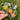 DIY Floral Bookmarks - Pressed Flower Transparent Bookmarks - DecorOfficial