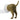Dog Toothpaste Dispenser - Creative Design for Easy Pet Dental Care - DecorOfficial