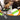 Adjustable Dog Car Leash - Breathable Mesh Pet Safety Restraint - DecorOfficial